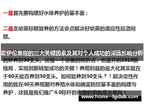 霍伊伦表现的三大关键因素及其对个人成功的深远影响分析