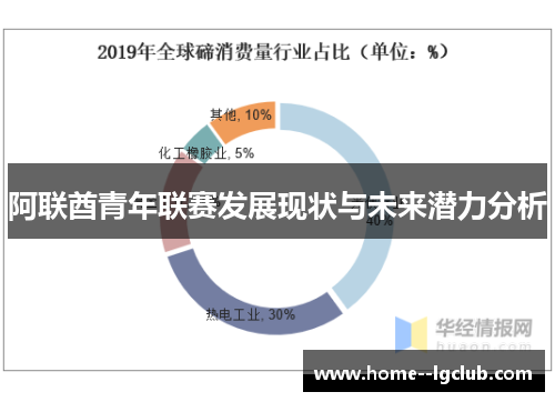 阿联酋青年联赛发展现状与未来潜力分析