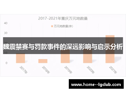 魏震禁赛与罚款事件的深远影响与启示分析
